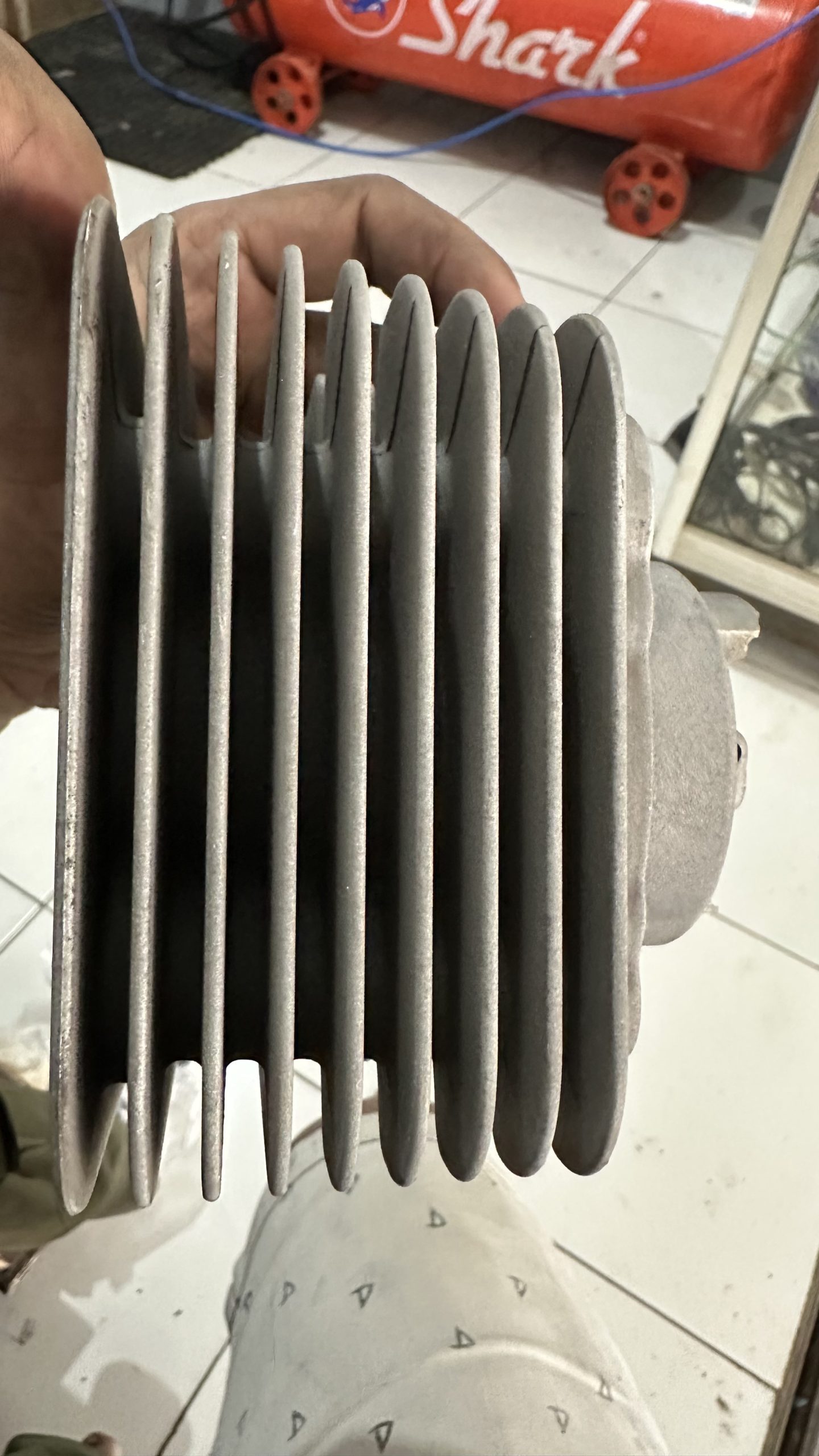 IMG_3557 IMG_3557